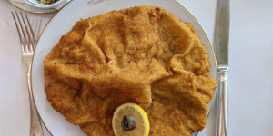 Beitragsbild des Blogbeitrags Die besten Schnitzel in Wien 