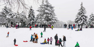 Beitragsbild des Blogbeitrags Wintersport, den ihr in Wien machen könnt