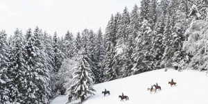 Beitragsbild des Blogbeitrags 7 Dinge, die du im Winter in Oberösterreich machen kannst
