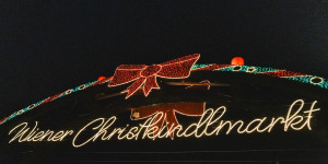 Beitragsbild des Blogbeitrags Unser Senf: Warum ich als Wienerin (nicht) auf den Rathausplatz Weihnachtsmarkt gehe