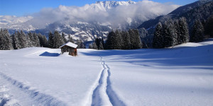 Beitragsbild des Blogbeitrags 3 nachhaltige Ferienhäuser in Österreichs Bergen