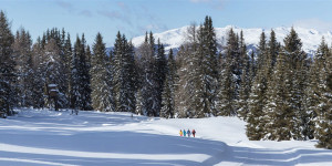 Beitragsbild des Blogbeitrags 10 traumhafte Orte zum Winterwandern in Österreich