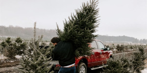 Beitragsbild des Blogbeitrags Hier gibts faire & nachhaltige Weihnachtsbäume in Wien 