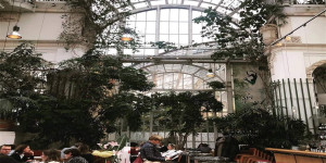 Beitragsbild des Blogbeitrags Wo sich Wien auch im Winter wie Urlaub anfühlt 