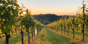 Beitragsbild des Blogbeitrags Urlaub in Österreich: Die schönsten Regionen des Landes 