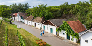 Beitragsbild des Blogbeitrags Weinviertel vor Ort und in Wien erleben: Unsere Highlights aus der vinophilen Region