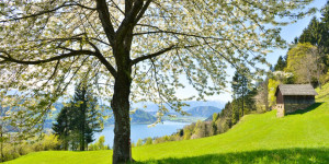Beitragsbild des Blogbeitrags 10 Tipps für euren Urlaub am Ossiacher See