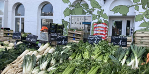 Beitragsbild des Blogbeitrags Bauernmärkte in Wien: regional und saisonal einkaufen 
