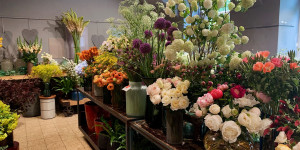 Beitragsbild des Blogbeitrags Die besten Blumengeschäfte in Wien