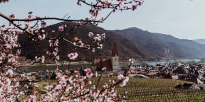 Beitragsbild des Blogbeitrags Unsere Top 10 Hotels in der Wachau 