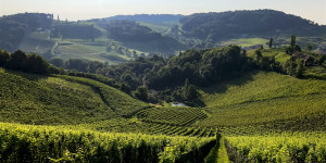 Beitragsbild des Blogbeitrags Unsere liebsten Genusstouren durch die Steiermark