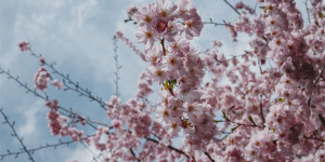 Beitragsbild des Blogbeitrags Weekend-Preview: Die coolsten Events am Wochenende in Wien