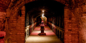 Beitragsbild des Blogbeitrags 12 Dinge, die ihr im Weinviertel machen müsst