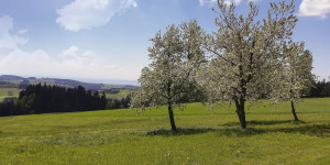 Beitragsbild des Blogbeitrags 9 Dinge, die ihr im Frühling in Oberösterreich unternehmen könnt 