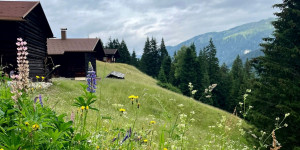 Beitragsbild des Blogbeitrags 7 Dinge, die ihr im Sommerurlaub im Montafon machen könnt 