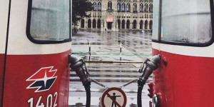 Beitragsbild des Blogbeitrags Dinge, die ihr über die Öffis in Wien noch nicht wusstet