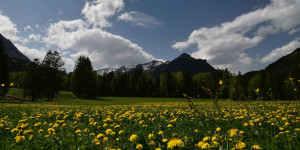 Beitragsbild des Blogbeitrags 9 Dinge, die du im Frühling in Vorarlberg machen solltest 