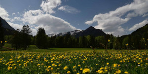 Beitragsbild des Blogbeitrags 9 Dinge, die du im Frühling in Vorarlberg machen solltest