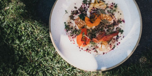 Beitragsbild des Blogbeitrags 9 schöne Hotels für Veganer*innen in Österreich
