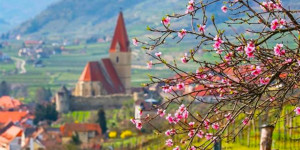 Beitragsbild des Blogbeitrags Die schönsten Ausflugsziele im Frühling in Österreich