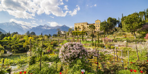 Beitragsbild des Blogbeitrags 7 Tipps für einen Roadtrip durch den Südtiroler Vinschgau