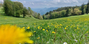Beitragsbild des Blogbeitrags Sanfter Tourismus: 10 Tipps für nachhaltiges Reisen
