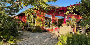 Beitragsbild des Blogbeitrags 10 Geheimtipps für Wien 