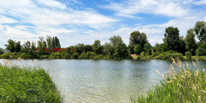 Beitragsbild des Blogbeitrags Die besten To Dos an der Alten Donau 