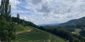 Beitragsbild des Blogbeitrags Weinwandern in der Südsteiermark: Ausflugstipps für die Weinstraßen