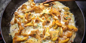 Beitragsbild des Blogbeitrags 8 Restaurants in Wien für Eierschwammerl