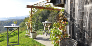 Beitragsbild des Blogbeitrags Die 10 schönsten Aktivitäten im Herbst in der Steiermark