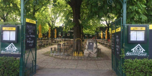 Beitragsbild des Blogbeitrags Die besten Schutzhäuser in Wien