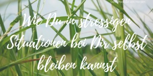 Beitragsbild des Blogbeitrags #014 Podcast | Wie Du in stressigen Situationen bei Dir selbst bleibst 