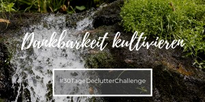 Beitragsbild des Blogbeitrags #30TDC | Teil 4/7: Dankbarkeit, für das was ist, kultivieren