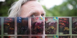 Beitragsbild des Blogbeitrags Der Wind weht, wie sie will