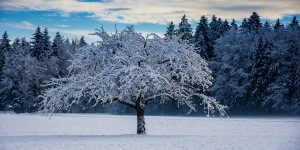 Beitragsbild des Blogbeitrags Gastbeitrag | Winterfotografie Tipps