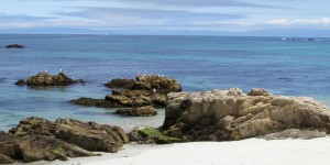Beitragsbild des Blogbeitrags Westküste USA Rundreise: Teil 5 Monterey und 17-Mile Drive