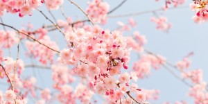 Beitragsbild des Blogbeitrags Fashion Lookbook Frühling 2017