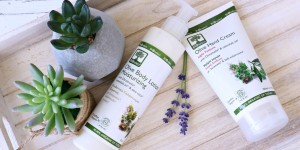 Beitragsbild des Blogbeitrags Die Kraft der Natur – Pflege von BIOselect