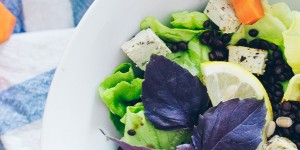 Beitragsbild des Blogbeitrags Herbstsalat // Warmes Belugalinsen Salat Rezept 