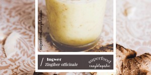 Beitragsbild des Blogbeitrags Superfood Enzyklopädie / I wie Ingwer. 