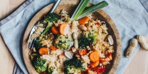 Beitragsbild des Blogbeitrags Gebratener Reis mit Erdnussbutter-Kokosmilch-Dressing / vegan, laktosefrei