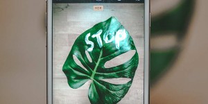 Beitragsbild des Blogbeitrags Mikroplastik entdecken und vermeiden // 3 einfache Tipps, welche Mikroplastik Apps dir dabei helfen