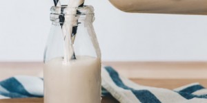Beitragsbild des Blogbeitrags Kokosmilch selber machen // 2 Zutaten, schnell, einfach und kostengünstig
