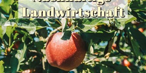 Beitragsbild des Blogbeitrags Über nachhaltige Landwirtschaft und dem Zurück zum Ursprung Bio Apfel 