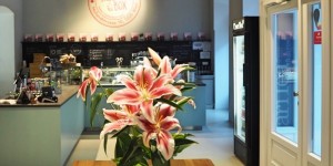 Beitragsbild des Blogbeitrags Neues Lokal in Wien, die Risotto Box!