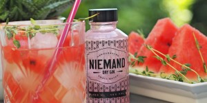 Beitragsbild des Blogbeitrags Dry Gin mit Wassermelone 