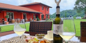 Beitragsbild des Blogbeitrags Weingut Il Roncal - Urlaub in Cividale 