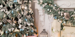 Beitragsbild des Blogbeitrags Lebende Christbäume Mieten