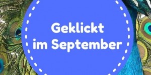 Beitragsbild des Blogbeitrags Geklickt im September #3